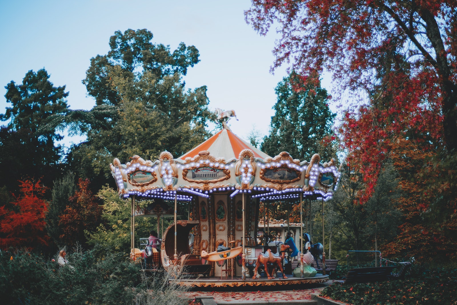 Carousel surrounded with green trees