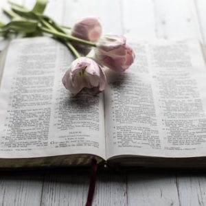 A Few Words on Singleness and the Sufficiency of Jesus